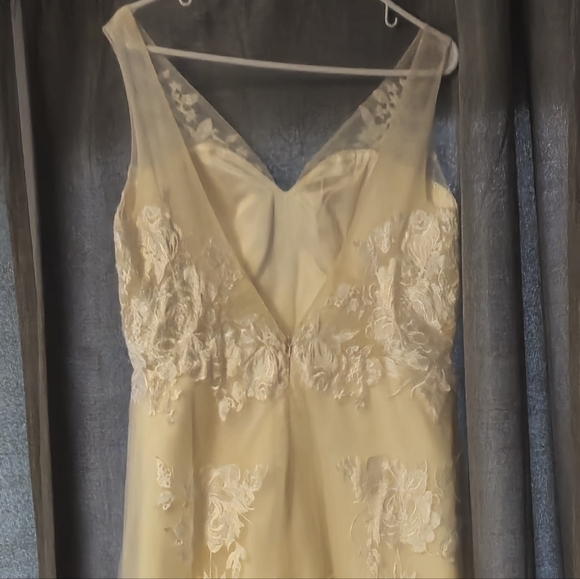 Champagne Color Wedding Gown w/ Floral Appliqués, fit similar street 14-16 - Picture 3 of 4